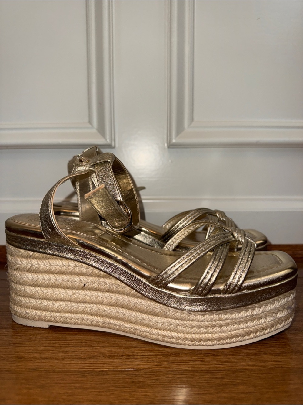 Beach Nightlife Pool Party Metallic Gold Wedge Sandals with Espadrille Platform